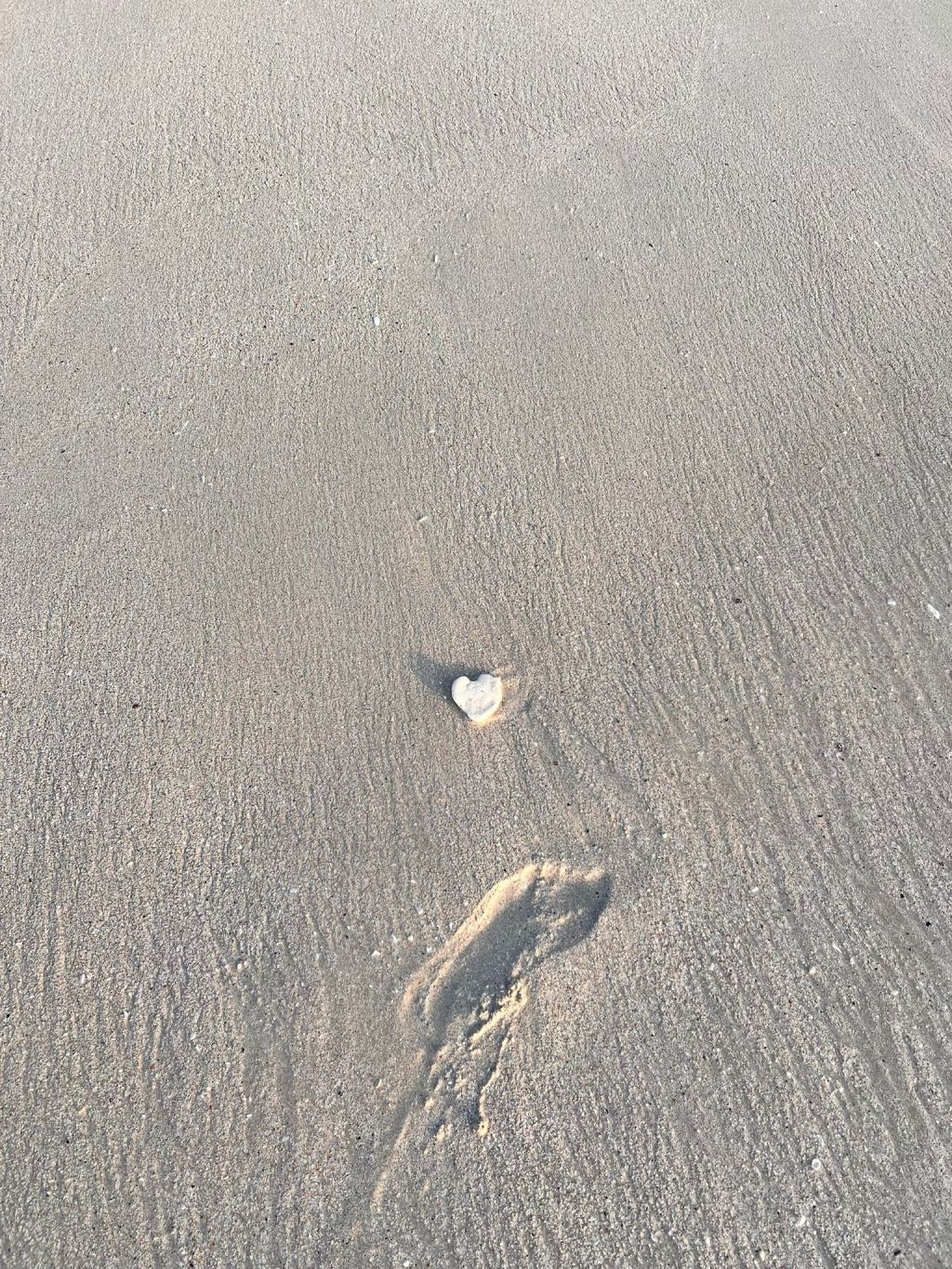 The Science of Love: How It Impacts&nbsp;Longevity